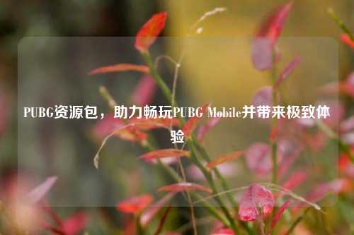 PUBG资源包,助力畅玩PUBG Mobile并带来极致体验