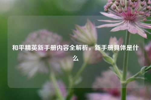 和平精英新手册内容全解析，新手册具体是什么