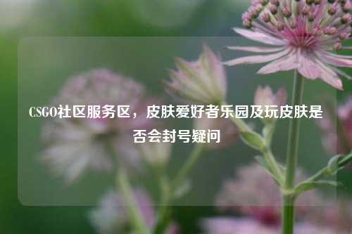 CSGO社区服务区，皮肤爱好者乐园及玩皮肤是否会封号疑问