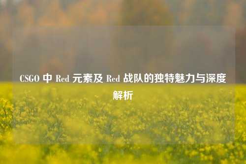 CSGO 中 Red 元素及 Red 战队的独特魅力与深度解析