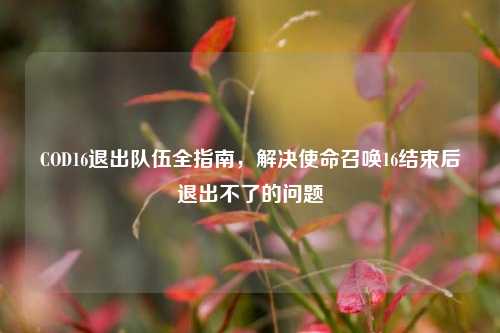 COD16退出队伍全指南，解决使命召唤16结束后退出不了的问题