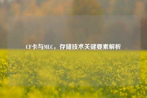 CF卡与MLC，存储技术关键要素解析