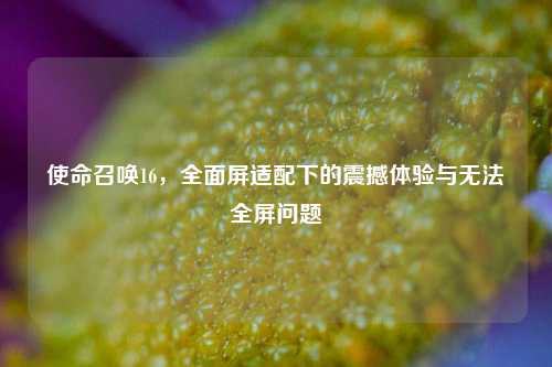 使命召唤16,全面屏适配下的震撼体验与无法全屏问题