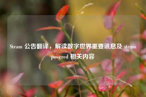 Steam 公告翻译，解读数字世界重要讯息及 steampowered 相关内容