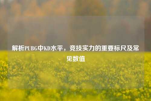 解析PUBG中KD水平，竞技实力的重要标尺及常见数值