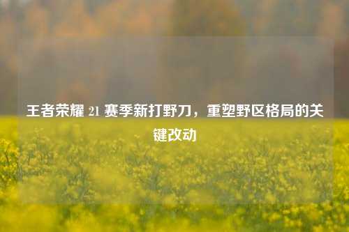 王者荣耀 21 赛季新打野刀，重塑野区格局的关键改动
