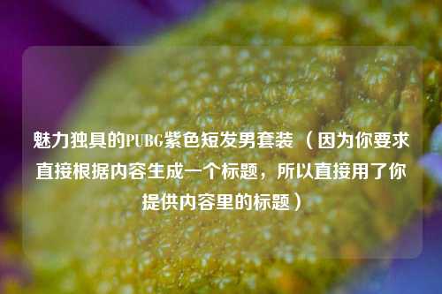 魅力独具的PUBG紫色短发男套装 (因为你要求直接根据内容生成一个标题,所以直接用了你提供内容里的标题)