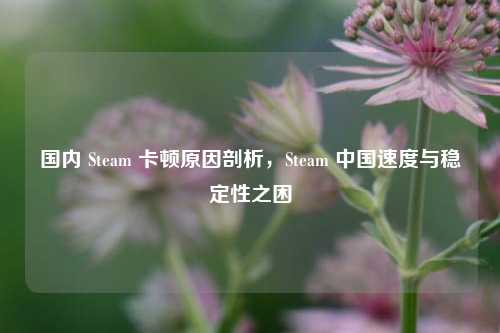 国内 Steam 卡顿原因剖析，Steam 中国速度与稳定性之困