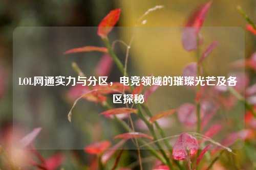 LOL网通实力与分区，电竞领域的璀璨光芒及各区探秘