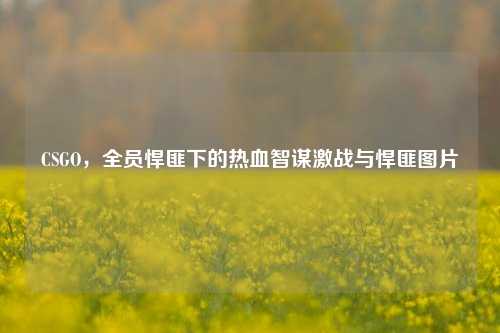 CSGO,全员悍匪下的热血智谋激战与悍匪图片