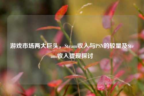 游戏市场两大巨头,Steam收入与PSN的较量及Steam收入提现探讨