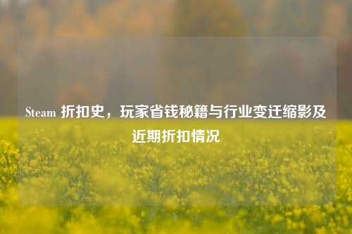 Steam 折扣史，玩家省钱秘籍与行业变迁缩影及近期折扣情况