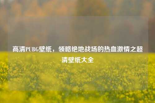 高清PUBG壁纸，领略绝地战场的热血激情之超清壁纸大全