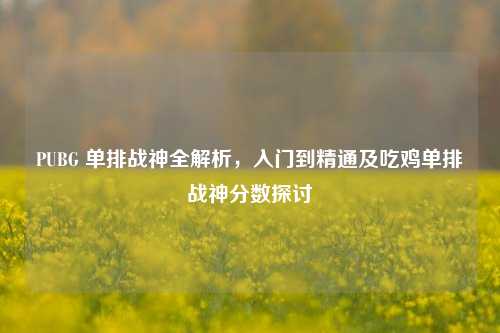 PUBG 单排战神全解析，入门到精通及吃鸡单排战神分数探讨