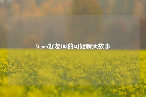 Steam好友103的可疑聊天故事