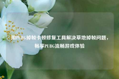 用PUBG掉帧卡顿修复工具解决草地掉帧问题，畅享PUBG流畅游戏体验