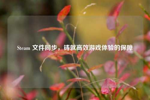 Steam 文件同步，铸就高效游戏体验的保障