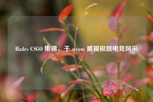 Hades CSGO 集锦，于 steam 展现极致电竞风采