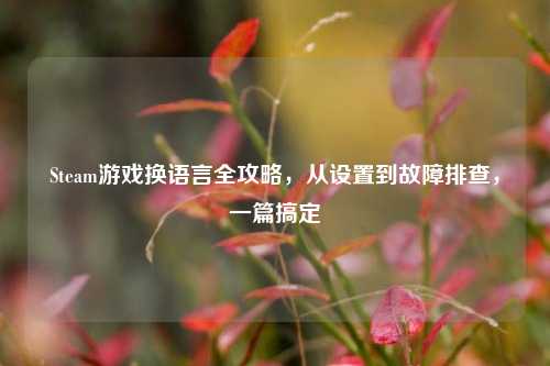 Steam游戏换语言全攻略，从设置到故障排查，一篇搞定