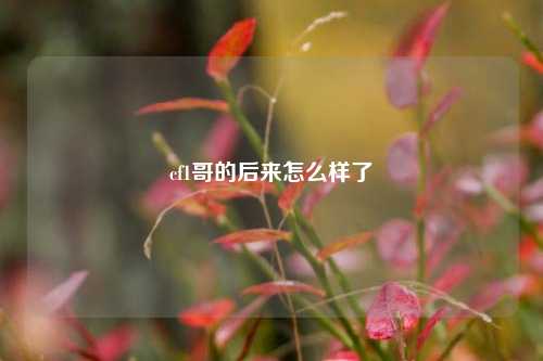 cf1哥的后来怎么样了