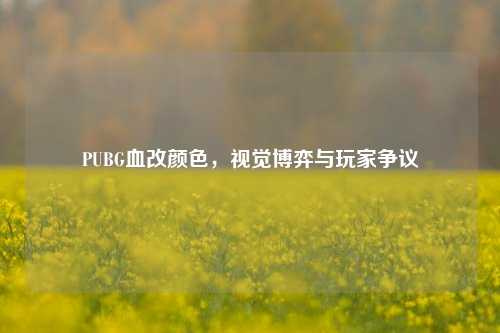 PUBG血改颜色，视觉博弈与玩家争议