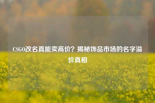 CSGO改名真能卖高价?揭秘饰品市场的名字溢价真相