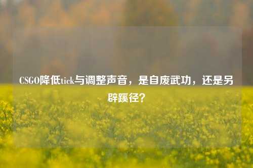 CSGO降低tick与调整声音，是自废武功，还是另辟蹊径？