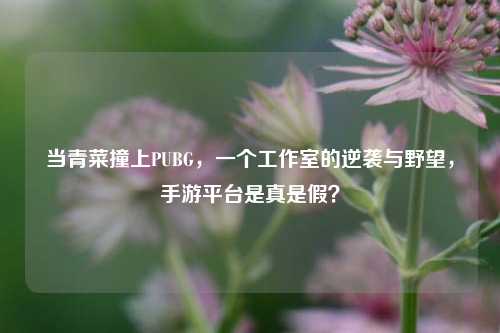 当青菜撞上PUBG，一个工作室的逆袭与野望，手游平台是真是假？