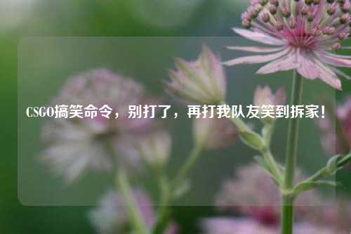 CSGO搞笑命令，别打了，再打我队友笑到拆家！