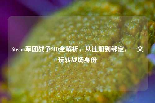 Steam军团战争2ID全解析，从注册到绑定，一文玩转战场身份