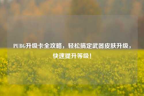 PUBG升级卡全攻略，轻松搞定武器皮肤升级，快速提升等级！