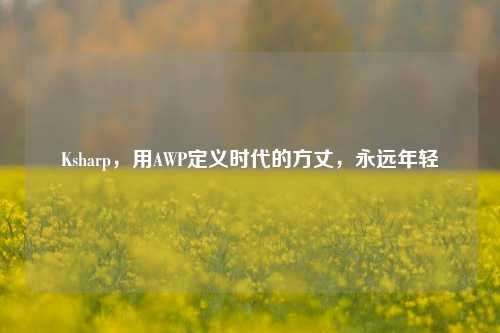 Ksharp，用AWP定义时代的方丈，永远年轻