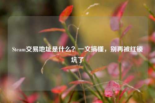 Steam交易地址是什么？一文搞懂，别再被红锁坑了