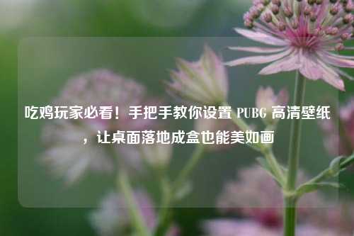 吃鸡玩家必看!手把手教你设置 PUBG 高清壁纸,让桌面落地成盒也能美如画