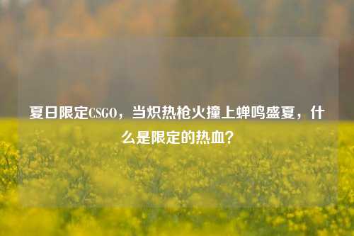 夏日限定CSGO,当炽热枪火撞上蝉鸣盛夏,什么是限定的热血?