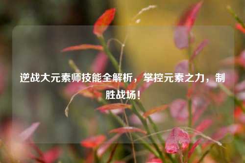 逆战大元素师技能全解析,掌控元素之力,制胜战场!