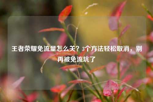 王者荣耀免流量怎么关?3个方法轻松取消,别再被免流坑了