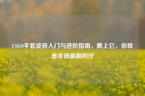 CSGO手套皮肤入门与进阶指南，戴上它，你就是全场最靓的仔