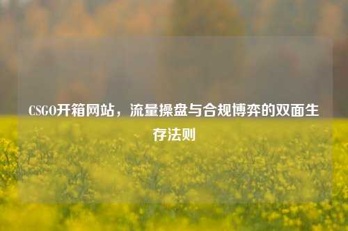 CSGO开箱网站，流量操盘与合规博弈的双面生存法则