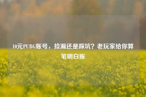 10元PUBG账号,捡漏还是踩坑?老玩家给你算笔明白账