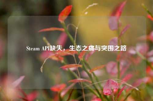 Steam API缺失,生态之痛与突围之路