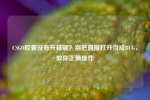 CSGO胶囊没有开箱键？别把直接打开当成BUG，教你正确操作