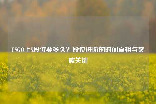 CSGO上S段位要多久?段位进阶的时间真相与突破关键