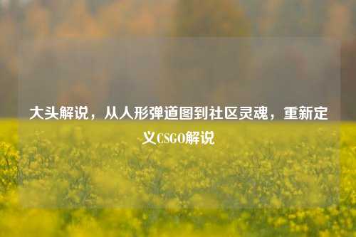 大头解说，从人形弹道图到社区灵魂，重新定义CSGO解说
