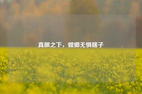 真眼之下，螳螂无惧瞎子