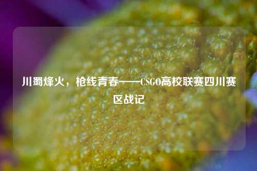 川蜀烽火，枪线青春——CSGO高校联赛四川赛区战记