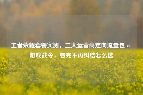 王者荣耀套餐实测，三大运营商定向流量包 vs 游戏战令，看完不再纠结怎么选