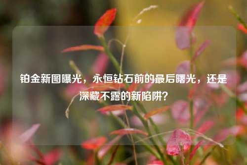 铂金新图曝光,永恒钻石前的最后曙光,还是深藏不露的新陷阱?