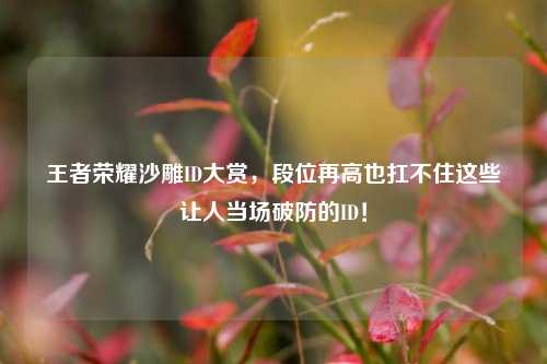 王者荣耀沙雕ID大赏,段位再高也扛不住这些让人当场破防的ID!