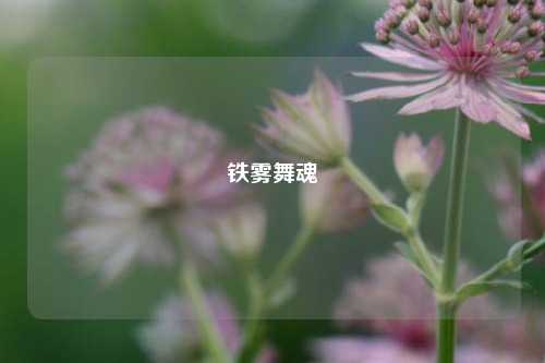 铁雾舞魂
